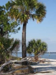 hilton-head-3-225x300-1